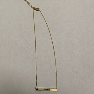 January Birthday Friendship Necklace
